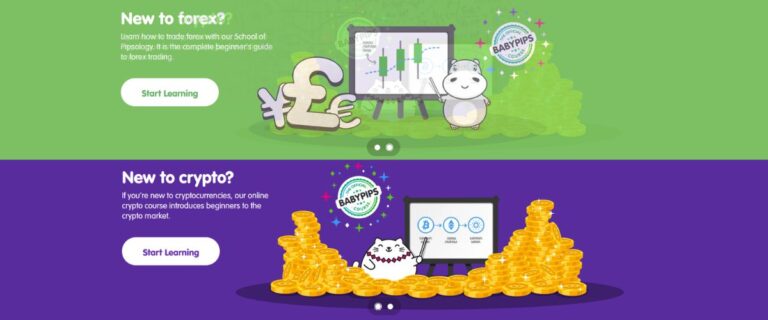 BabyPips: What Is BabyPips and Why Do Many Traders Use It?